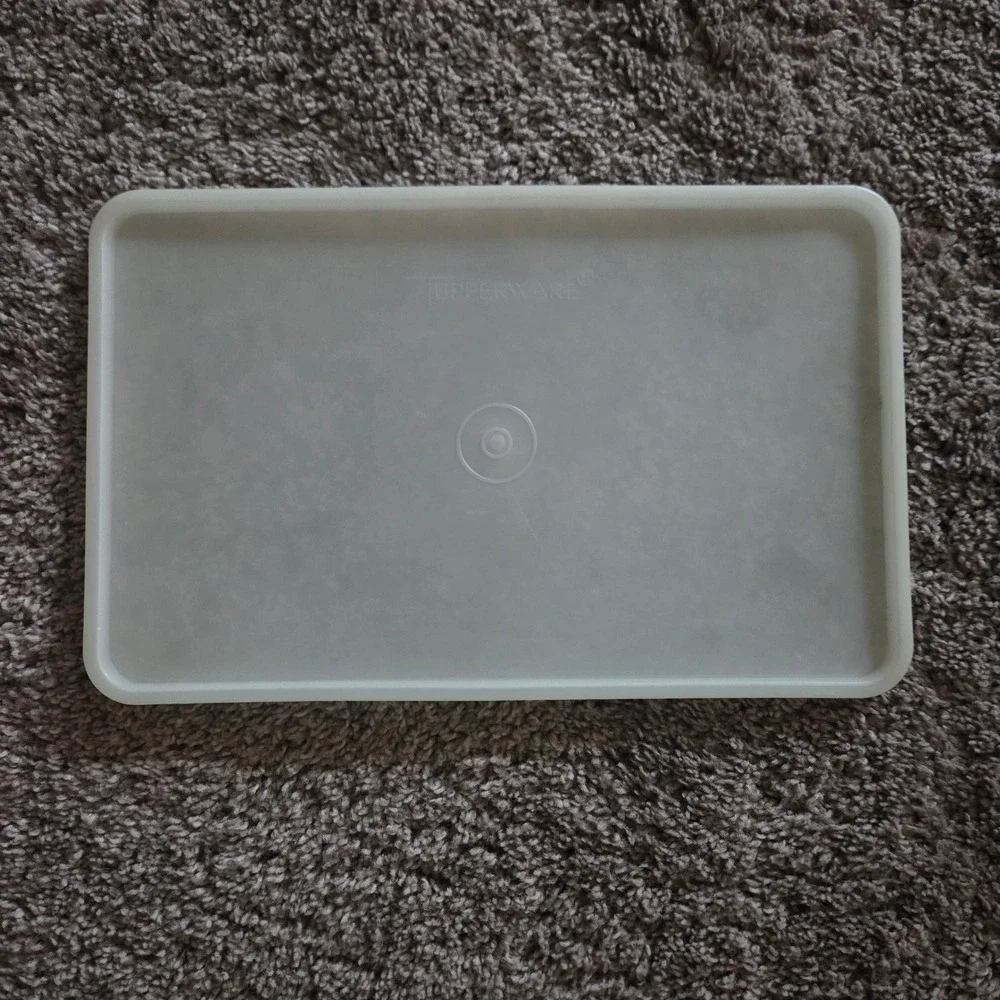Vintage Tupperware Hot Dog/Bacon/Deli Meat Keeper Marinade Container (1292-7)‎